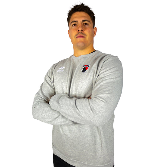 Sweat-shirt "skye" gris